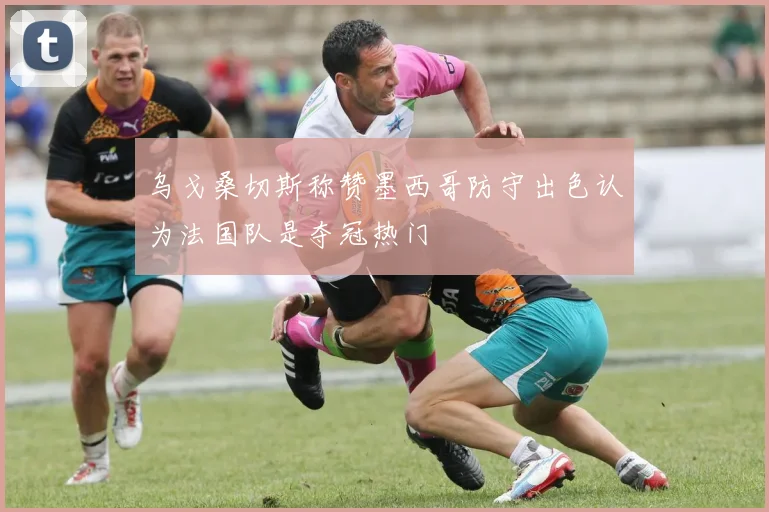 乌戈桑切斯称赞墨西哥防守出色认为法国队是夺冠热门
